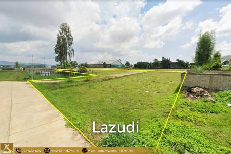 5 Rai Land for Sale in Thoeng, Chiang Rai 5 Rai Land for Sale in Thoeng, Chiang Rai