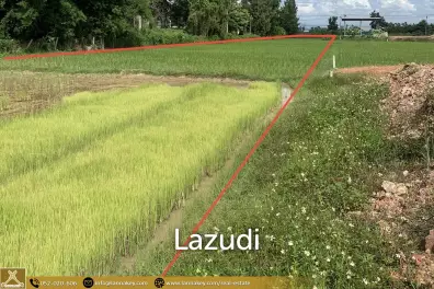 Land for Sale for Business in Thoeng, Chiang Rai