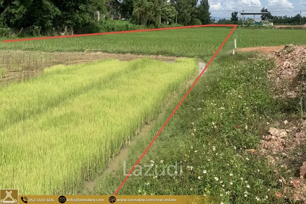 Land for Sale for Business in Thoeng, Chiang Rai