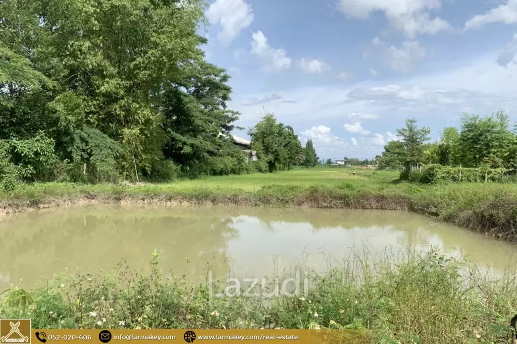 Land for Sale for Business in Thoeng, Chiang Rai