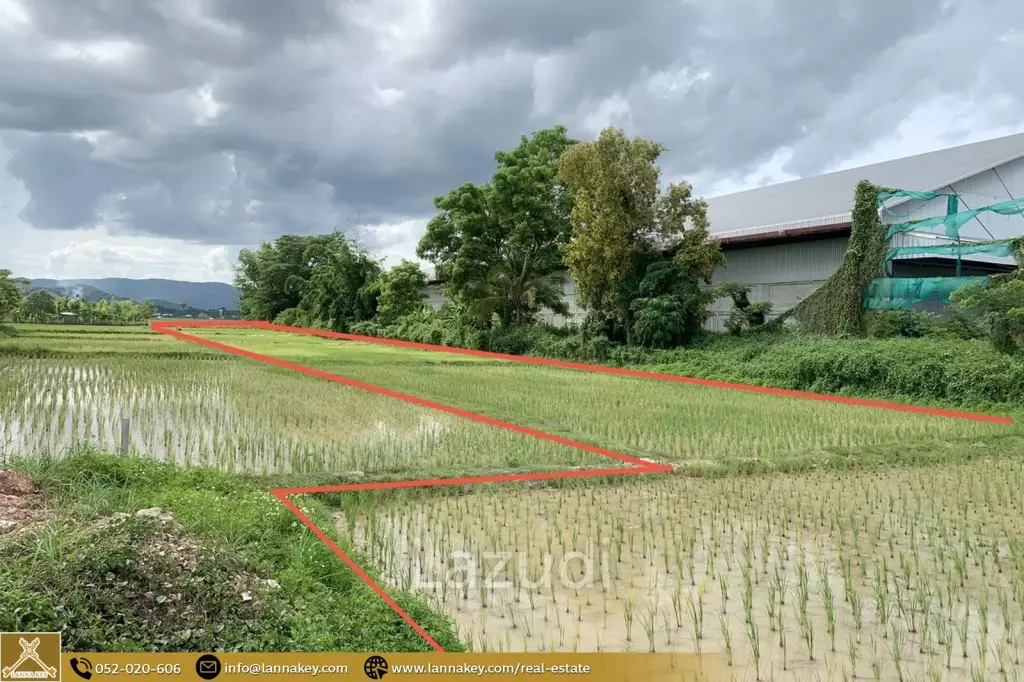 Land for Sale for Business in Thoeng, Chiang Rai