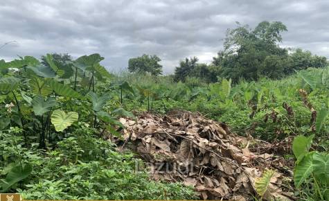 1 Rai Land for Sale in Chiang Rai City