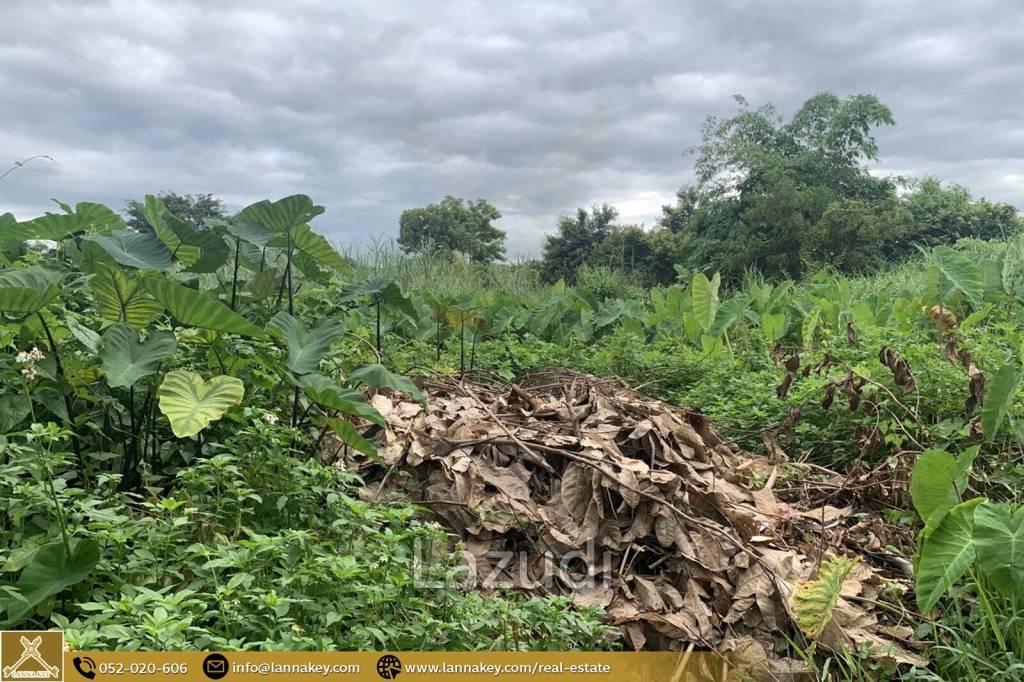 1 Rai Land for Sale in Chiang Rai City