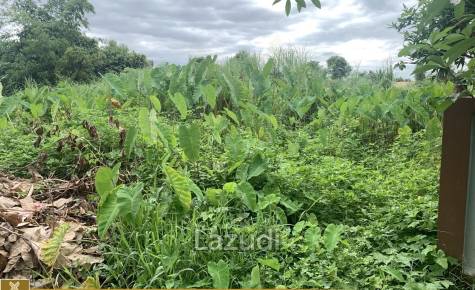 1 Rai Land for Sale in Chiang Rai City