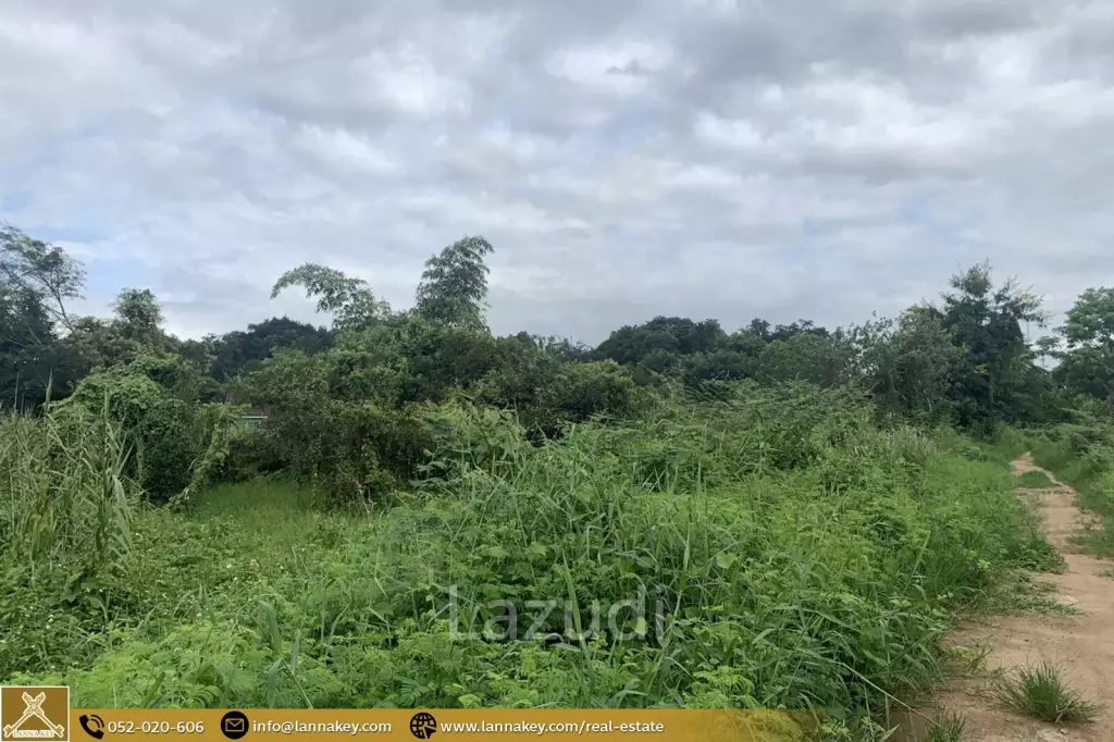 1 Rai Land for Sale in Chiang Rai City