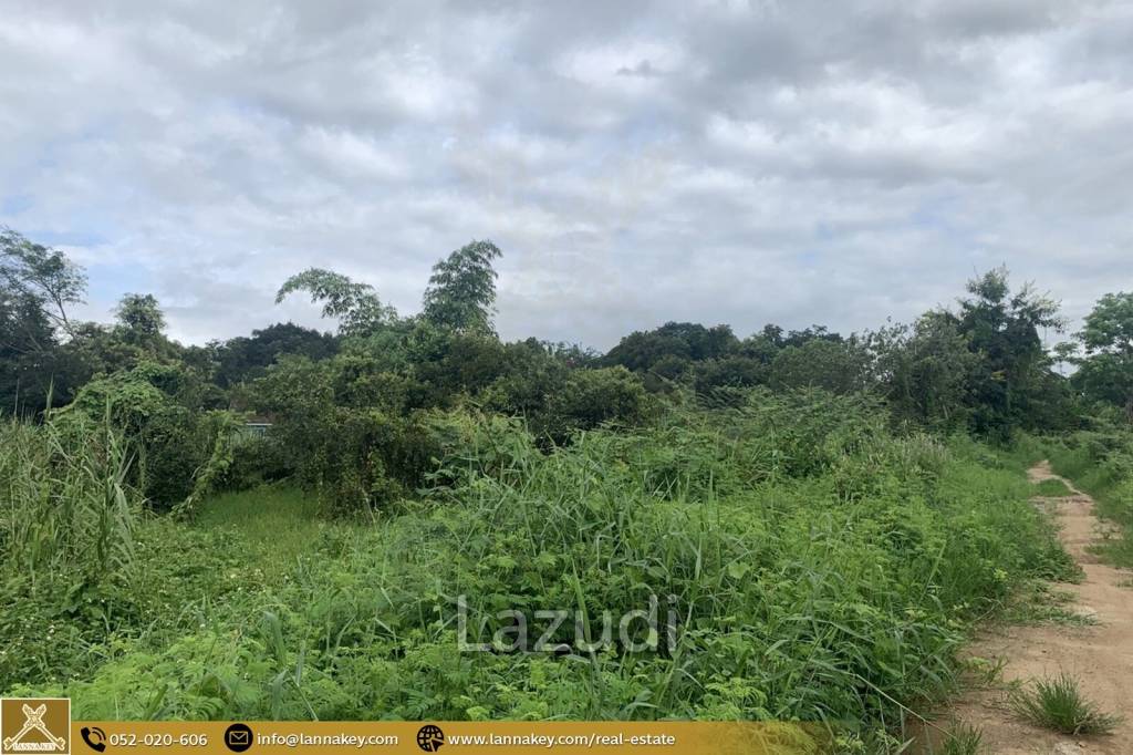 1 Rai Land for Sale in Chiang Rai City