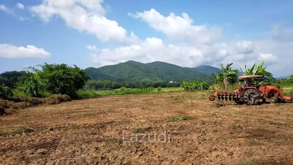 ขายที่ดินแปลงสวย 1 ไร่ ใกล้ตัวเมืองแม่จัน