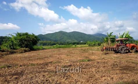 Beautiful land for sale 1 Rai Maechan, Chiang Rai