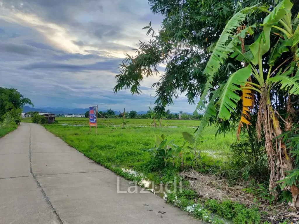 ขายที่ดินแปลงสวย 1 ไร่ ใกล้ตัวเมืองแม่จัน