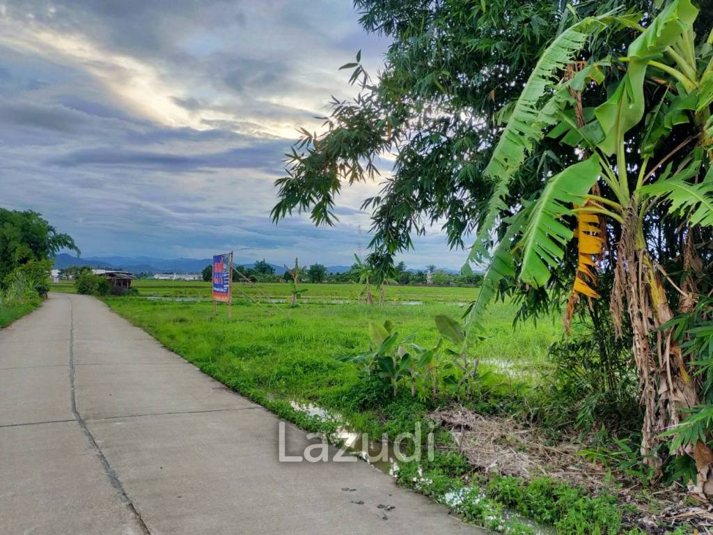 Beautiful land for sale 1 Rai Maechan, Chiang Rai