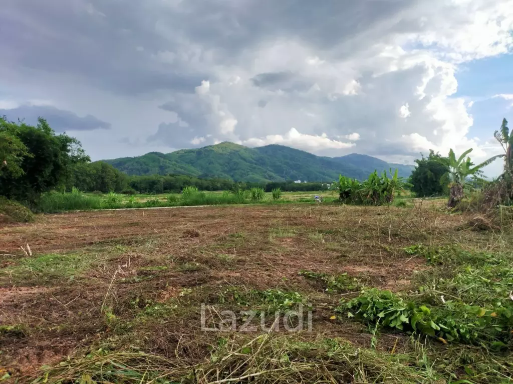 ขายที่ดินแปลงสวย 1 ไร่ ใกล้ตัวเมืองแม่จัน
