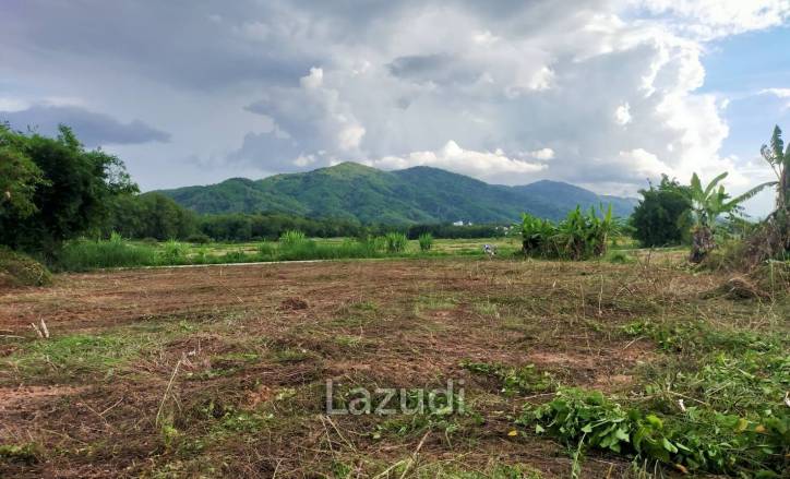 Beautiful land for sale 1 Rai Maechan, Chiang Rai
