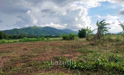 Beautiful land for sale 1 Rai Maechan, Chiang Rai