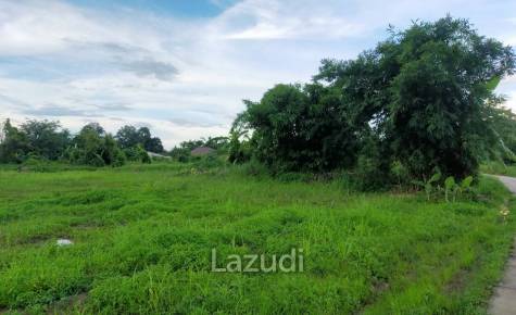 Beautiful land for sale 1 Rai Maechan, Chiang Rai