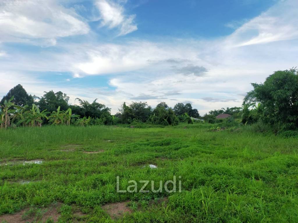 Beautiful land for sale 1 Rai Maechan, Chiang Rai