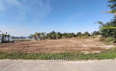Beautiful land for sale 1 Rai Maechan, Chiang Rai