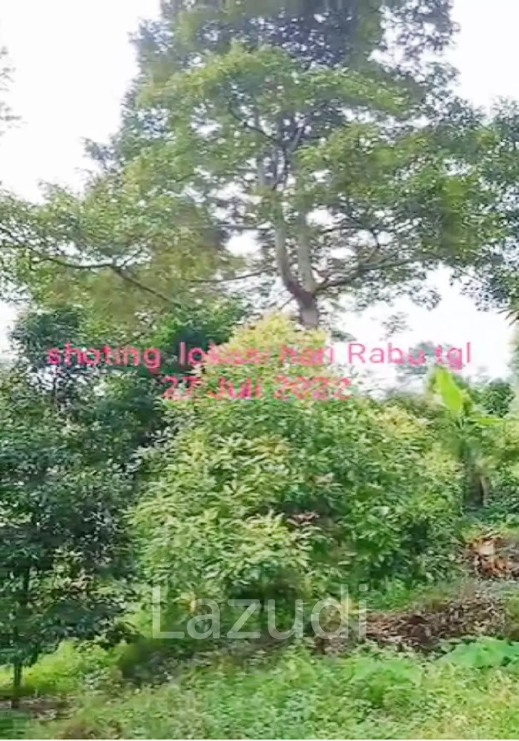 Tanah Kebun Durian Dijual di Mojokerto Sangat Murah BU Cepat Lokasi Dekat Universitas PGRI Adi Buana Mojokerto