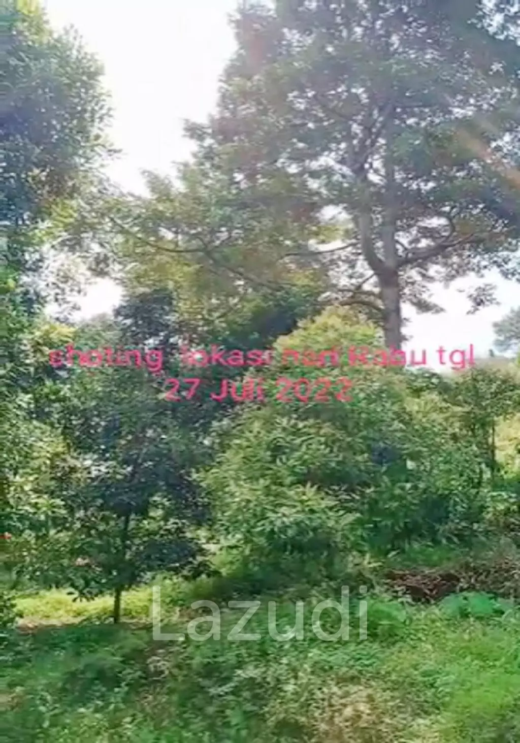 Tanah Kebun Durian Dijual di Mojokerto Sangat Murah BU Cepat Lokasi Dekat Universitas PGRI Adi Buana Mojokerto
