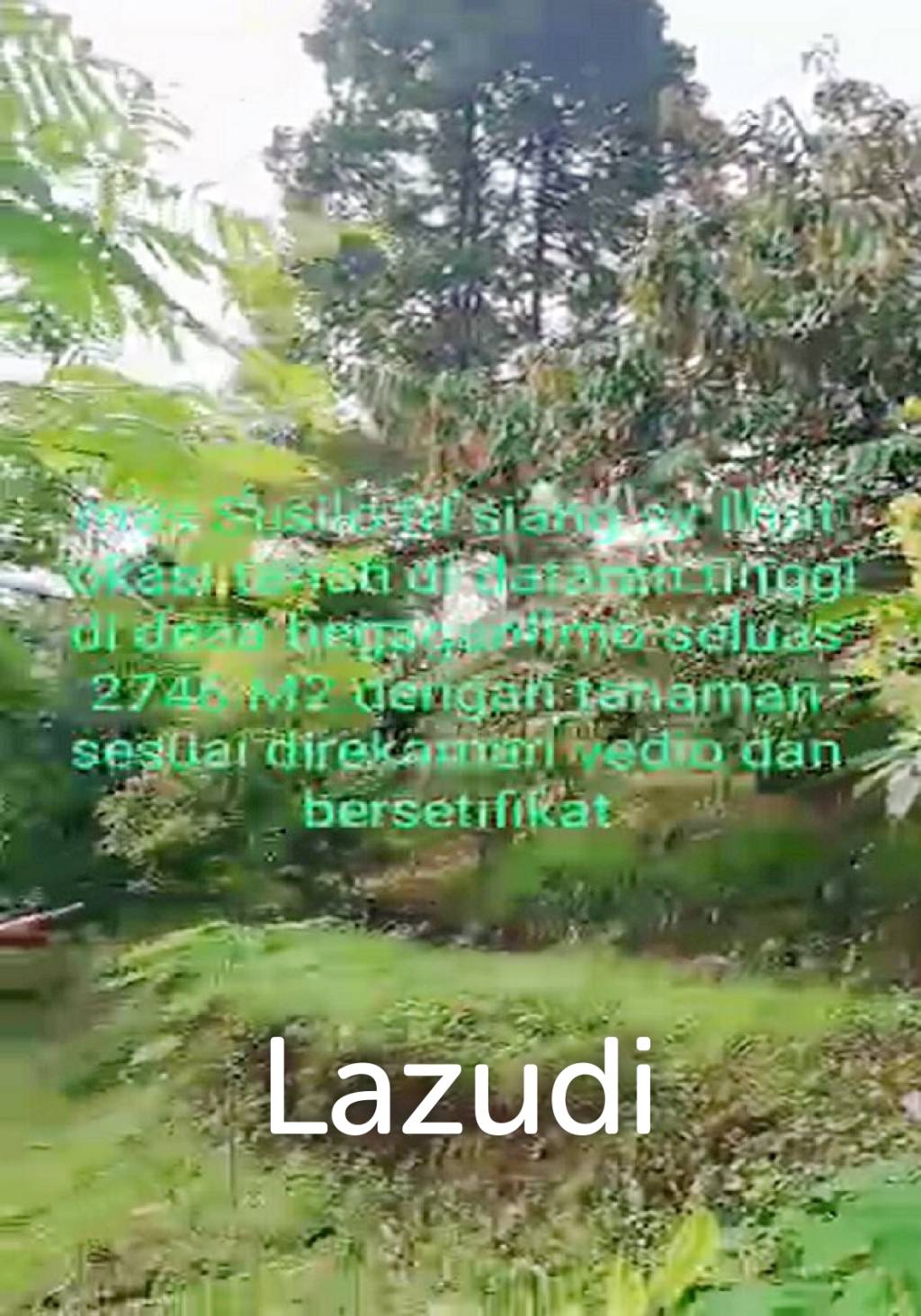 Tanah Kebun Durian Dijual di Mojokerto Sangat Murah BU Cepat Lokasi Dekat Universitas PGRI Adi Buana Mojokerto
