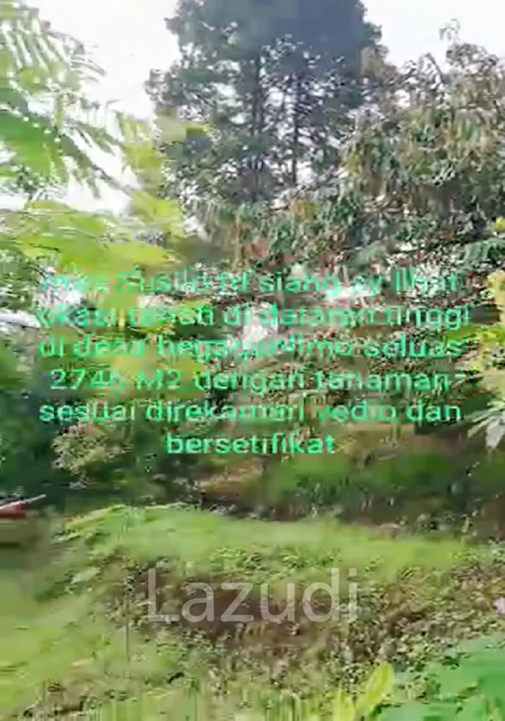 Tanah Kebun Durian Dijual di Mojokerto Sangat Murah BU Cepat Lokasi Dekat Universitas PGRI Adi Buana Mojokerto