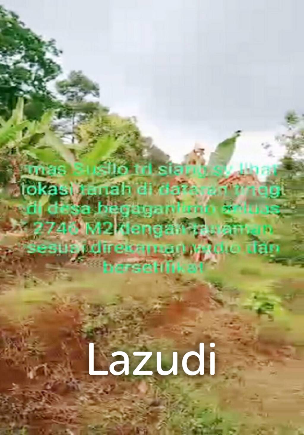 Tanah Kebun Durian Dijual di Mojokerto Sangat Murah BU Cepat Lokasi Dekat Universitas PGRI Adi Buana Mojokerto
