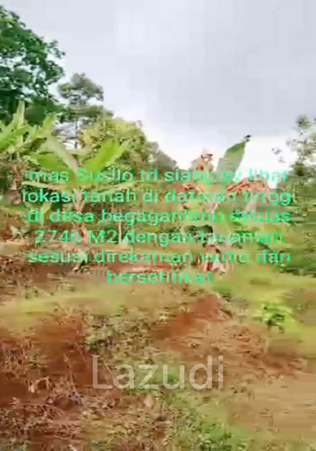 Tanah Kebun Durian Dijual di Mojokerto Sangat Murah BU Cepat Lokasi Dekat Universitas PGRI Adi Buana Mojokerto