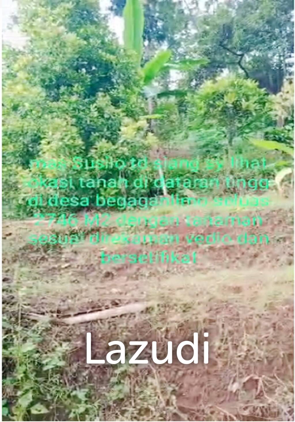 Tanah Kebun Durian Dijual di Mojokerto Sangat Murah BU Cepat Lokasi Dekat Universitas PGRI Adi Buana Mojokerto