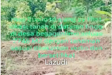 Tanah Kebun Durian Dijual di Mojokerto Sangat Murah BU Cepat Lokasi Dekat Universitas PGRI Adi Buana Mojokerto