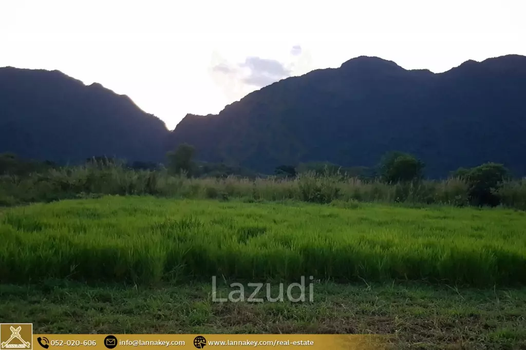 1 Rai Land for Sale near Tham Luang