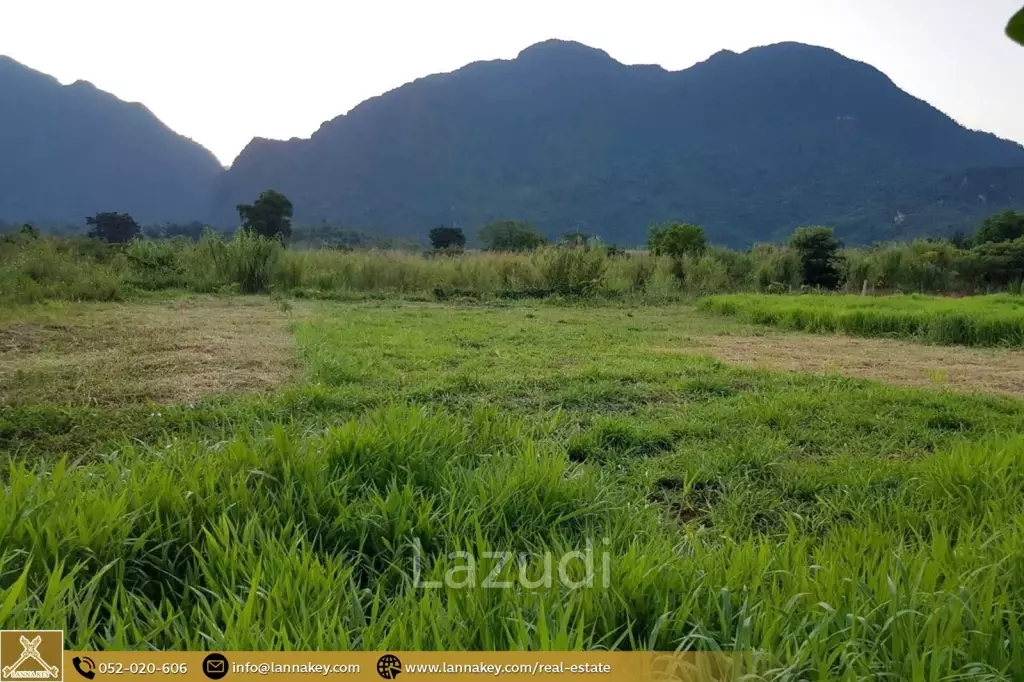 1 Rai Land for Sale near Tham Luang
