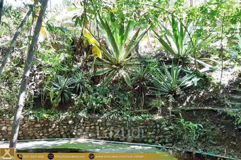 House for Sale at Pai, Mae Hong Son