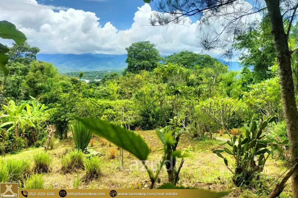 House for Sale at Pai, Mae Hong Son