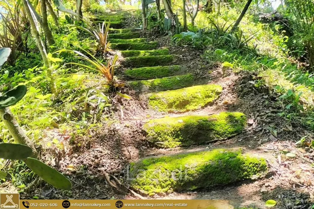 House for Sale at Pai, Mae Hong Son