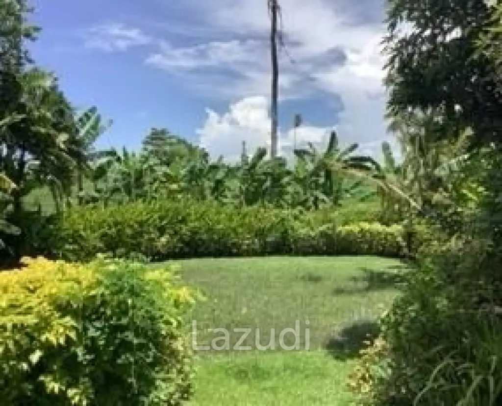Incredible Leasehold Villa in Berawa Canggu with 3 bedrooms