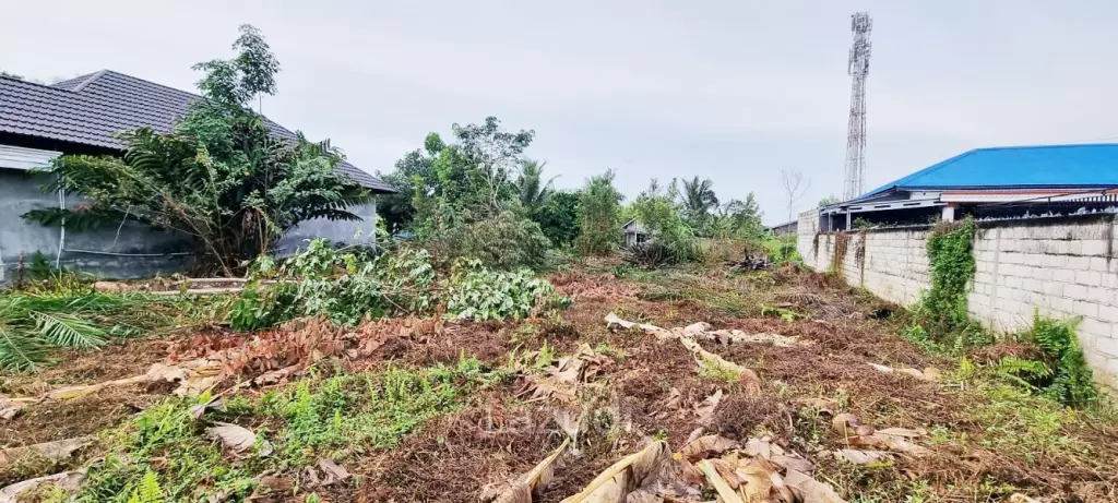 Rumah Dijual di Palangka Raya Dekat Universitas Palangka Raya, Palangka Raya Mall, RS Siloam Palangka Raya