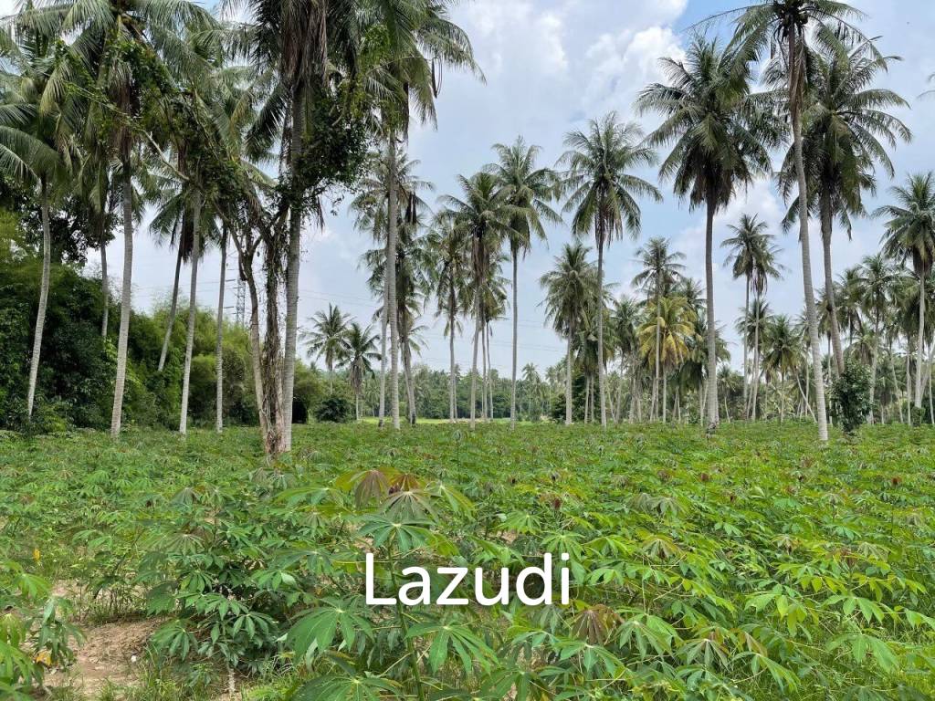 20 Rai Land for Sale Near Rugby School, Khao Mai Kaew