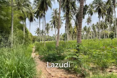 ขายที่ดิน 20 ไร่ ใกล้โรงเรียนรักบี้ เขาไม้แก้ว