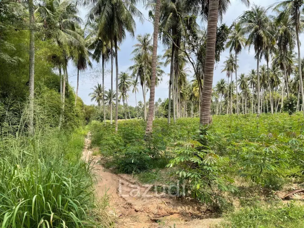20 Rai Land for Sale Near Rugby School, Khao Mai Kaew