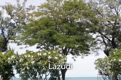 BAAN SAN DAO CONDO  : 2 Bed condo for sale and rent
