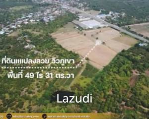 49 Rai Land for Sale and Mountain View