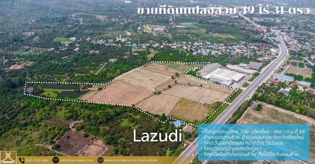 49 Rai Land for Sale and Mountain View