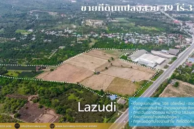 49 Rai Land for Sale and Mountain View