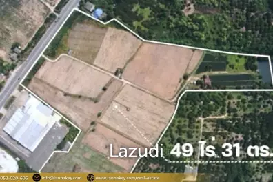 49 Rai Land for Sale and Mountain View