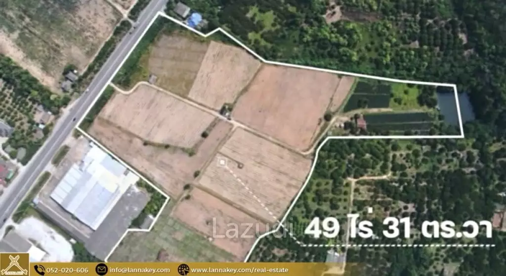 49 Rai Land for Sale and Mountain View