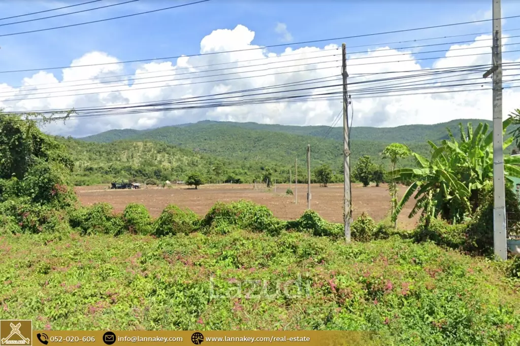 49 Rai Land for Sale and Mountain View