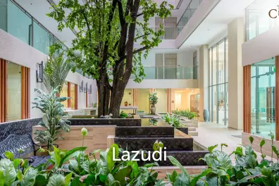 Studio Condo For Sale  The Cloud Cosy Beach Pratumnak