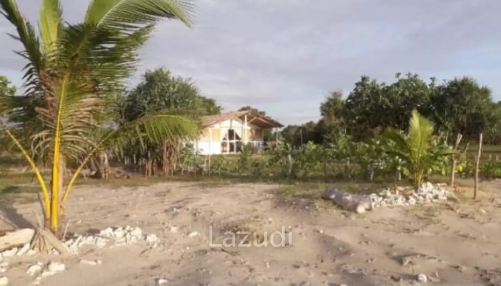 Beautiful Beachfront Land in Pantai Wera, Sumba