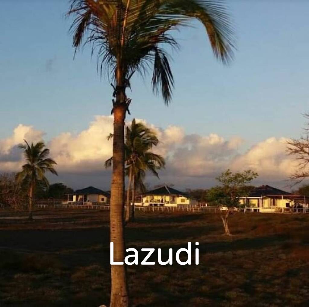 Beautiful Beachfront Land in Pantai Wera, Sumba