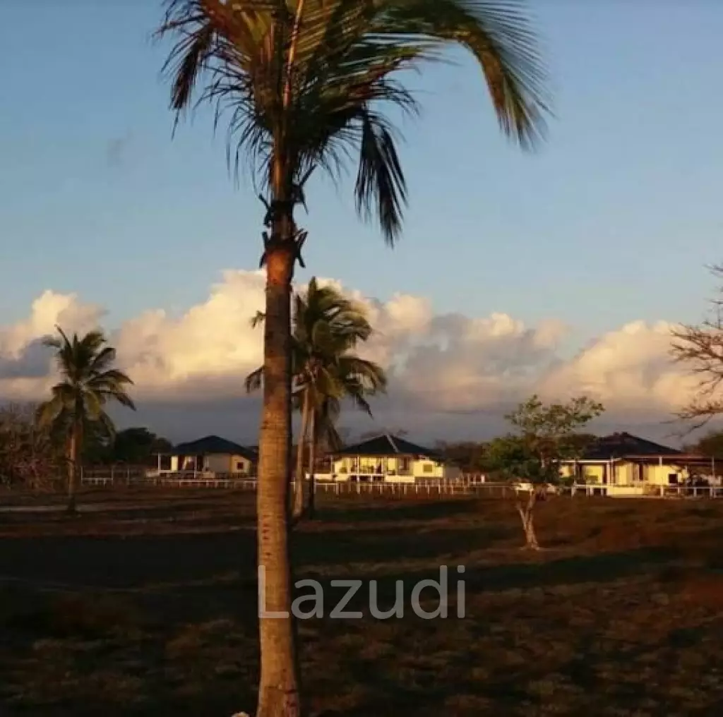 Beautiful Beachfront Land in Pantai Wera, Sumba