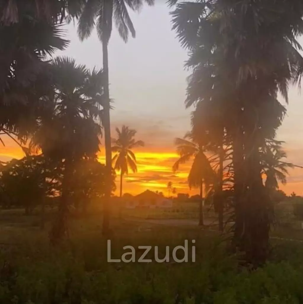 Beautiful Beachfront Land in Pantai Wera, Sumba